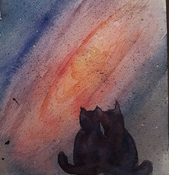 Two cats staring in space