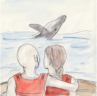 The ''Cuddlies'' watching a whale